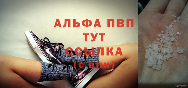 твердый Ладушкин