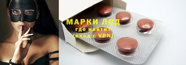 твердый Ладушкин