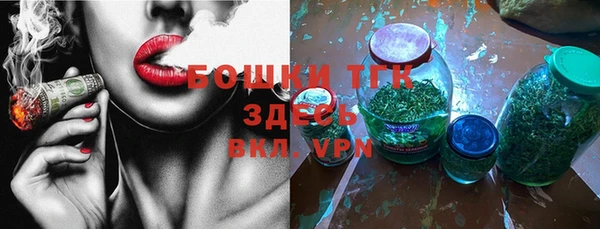 твердый Ладушкин