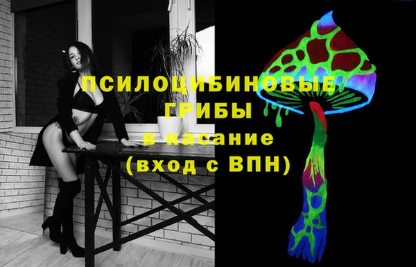 твердый Ладушкин