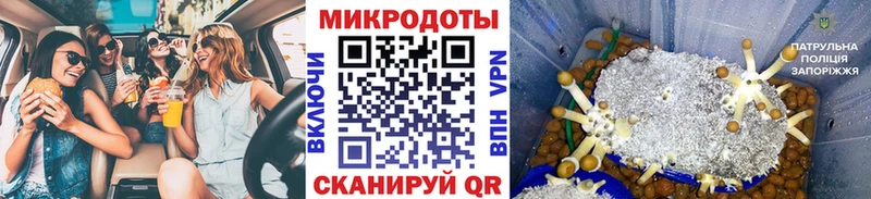 Галлюциногенные грибы Psilocybe  Ленск 